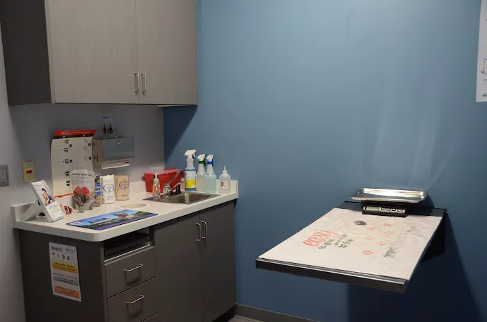 Animal Hospital North Aka Healthy Pets Picture 6
