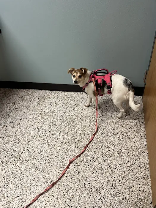 Rice Lake Animal Hospital Picture 4