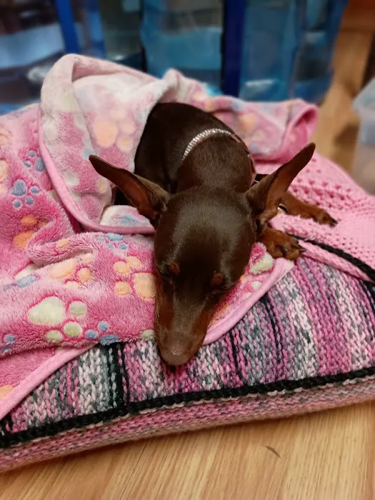 Rice Lake Animal Hospital Picture 5