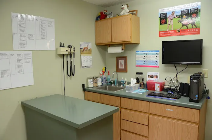 Animal Hospital of Chetek Picture 2