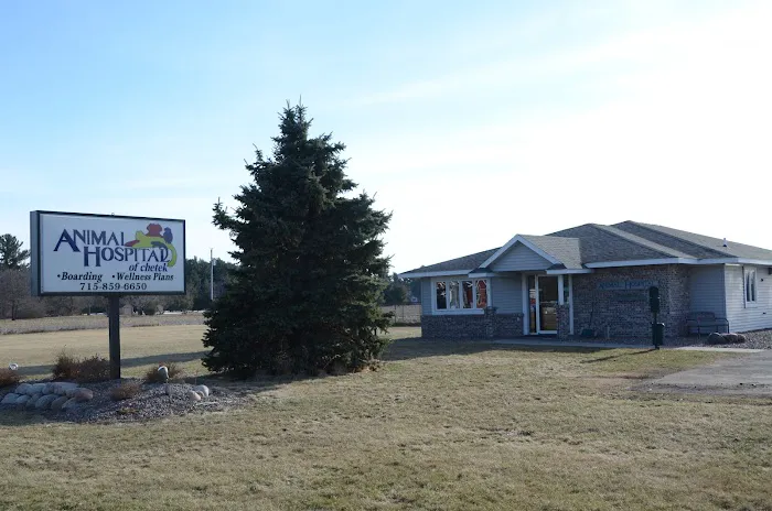 Animal Hospital of Chetek Picture 4