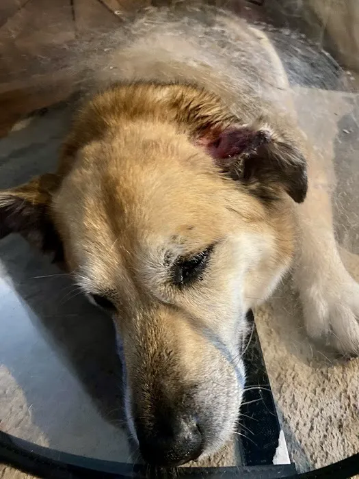 Animal Hospital of Chetek Picture 8