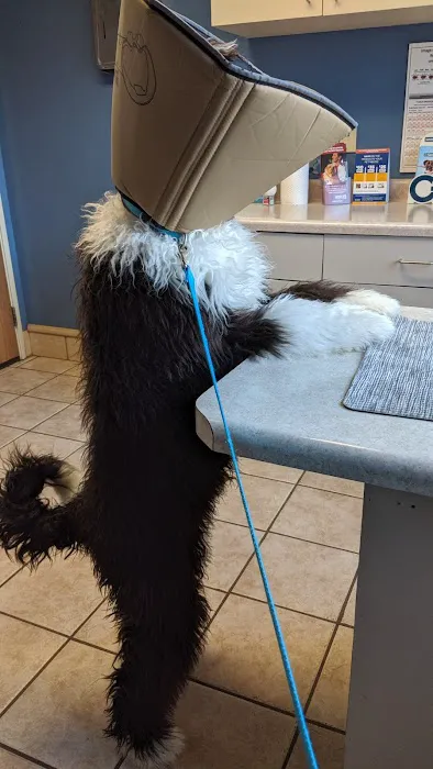 Kinnic Veterinary Service Picture 1