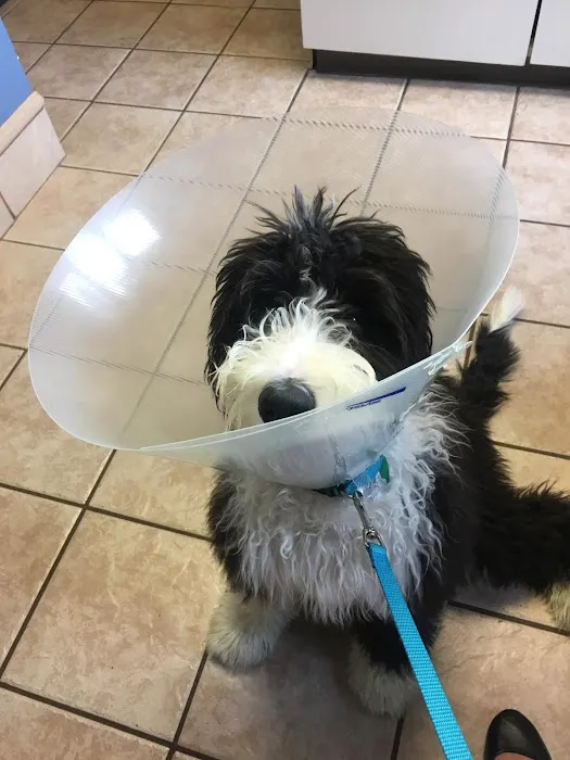Kinnic Veterinary Service Picture 3