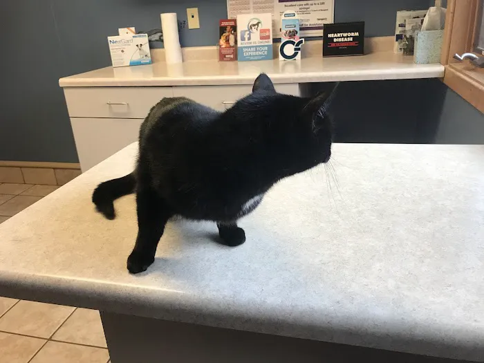 Kinnic Veterinary Service Picture 6