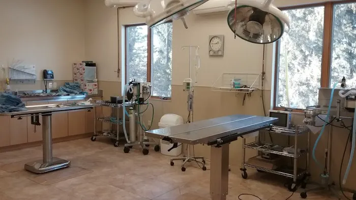 Pierce Veterinary Clinic Picture 5