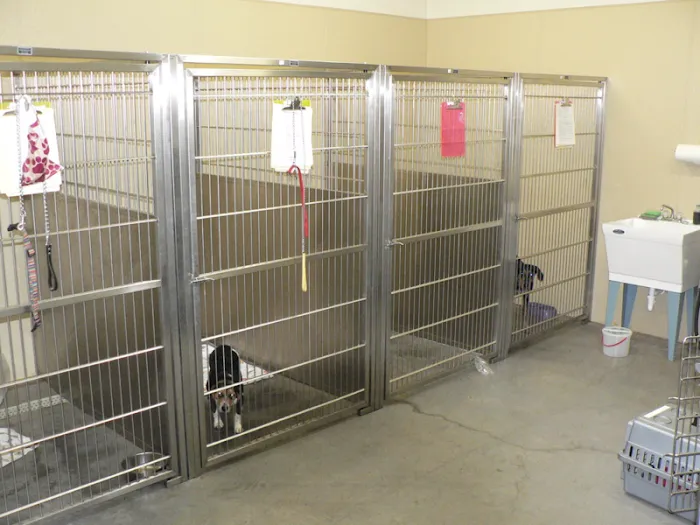 Pierce Veterinary Clinic Picture 9