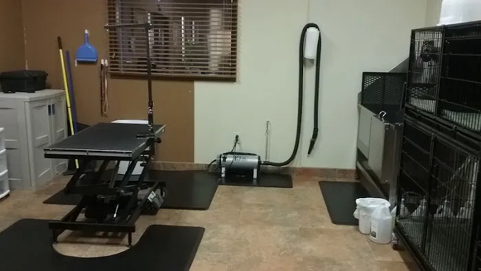 Pierce Veterinary Clinic Picture 8