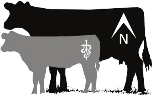 Northbound Veterinary Services Picture 1