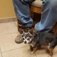 Becker Veterinary Clinic ico