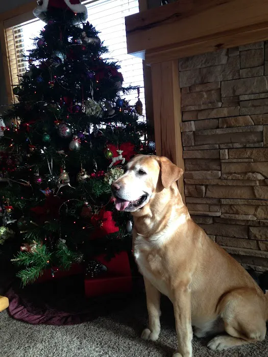 Becker Veterinary Clinic Picture 9