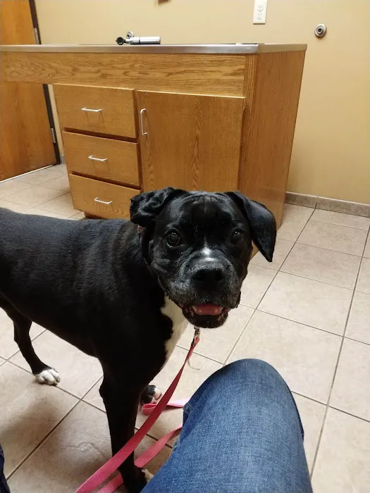 Becker Veterinary Clinic Picture 10