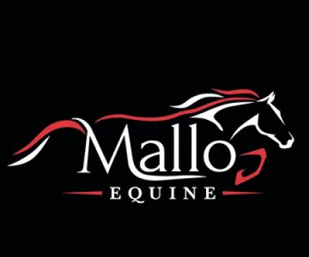 Mallo Equine