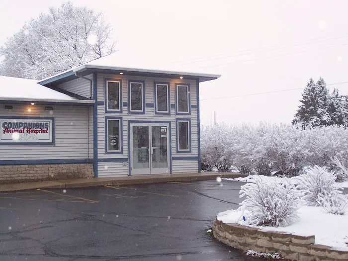 Companions Animal Hospital Picture 3