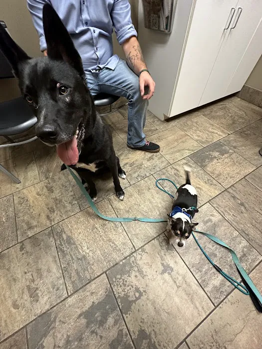 Pine Cone Pet Hospital Picture 5