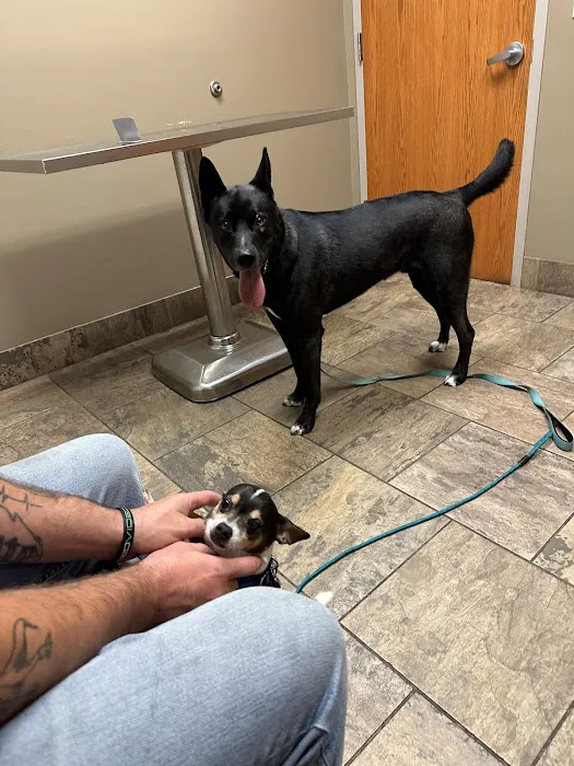 Pine Cone Pet Hospital Picture 6