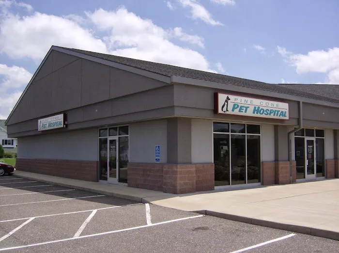 Pine Cone Pet Hospital Picture 8