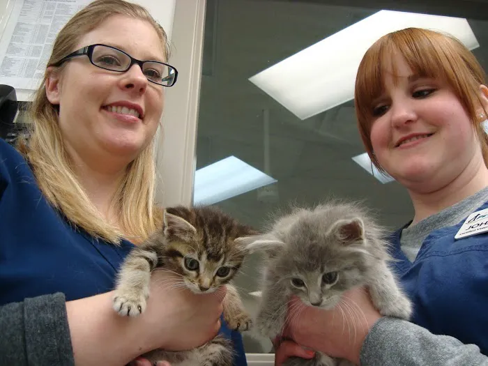 Pine Cone Pet Hospital Picture 9
