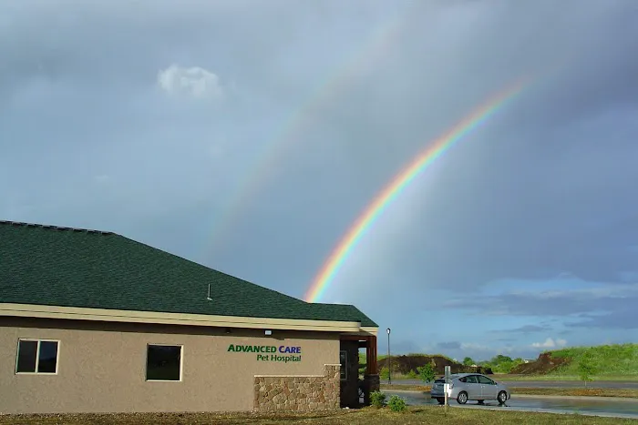 Advanced Care Pet Hospital Picture 9