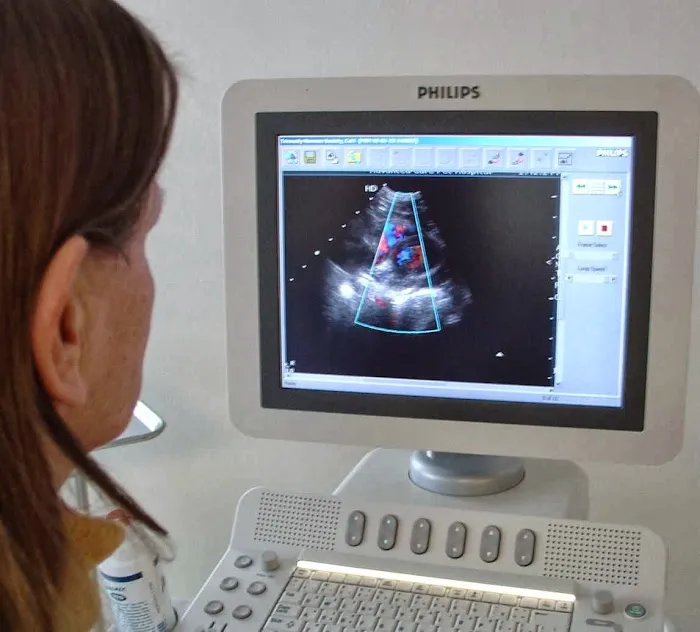 Dr. Pamela Gerds DVM Picture 7