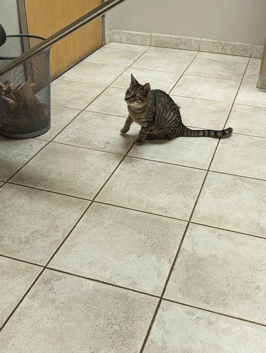 Granite City Pet Hospital Picture 1