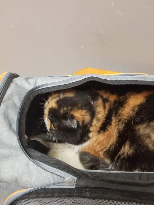 Granite City Pet Hospital Picture 6