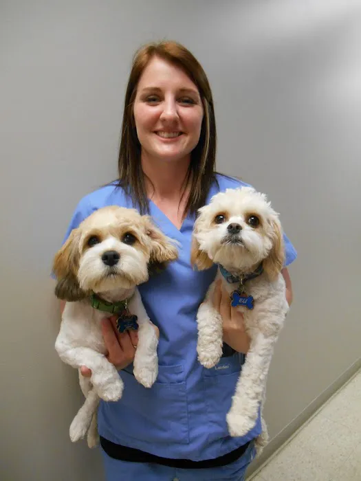 Granite City Pet Hospital Picture 9