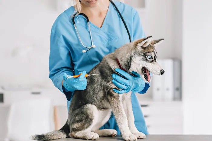 Rice Veterinary Clinic Picture 6
