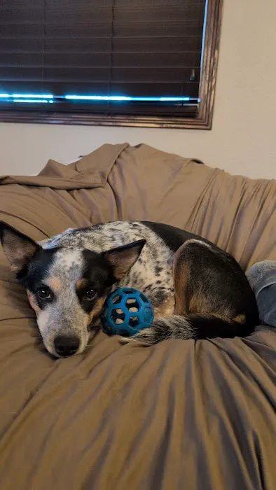 BluePearl Pet Hospital Picture 6