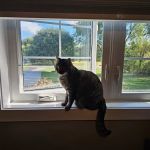 Waite Park Veterinary Hospital