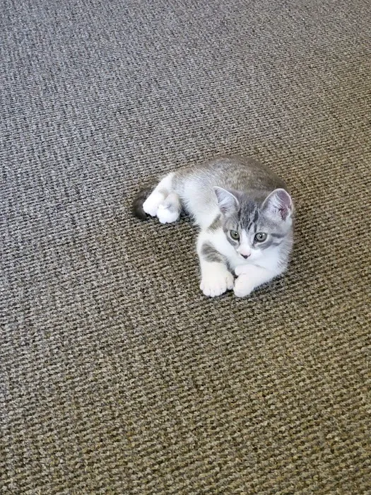 Waite Park Veterinary Hospital Picture 9