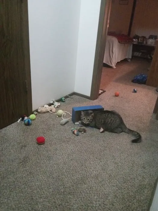 Banfield Pet Hospital Picture 2