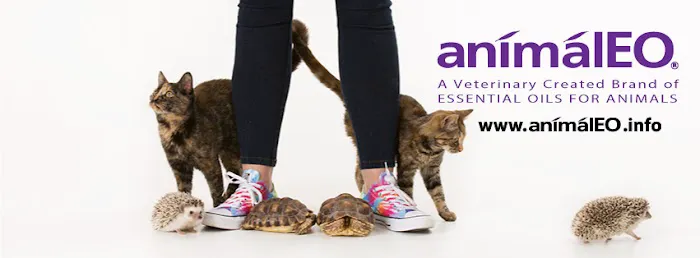 animalEO Essential Oils for Animals: Crow River Animal Hospital LTD Picture 1