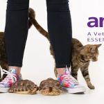 animalEO Essential Oils for Animals: Crow River Animal Hospital LTD