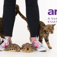 animalEO Essential Oils for Animals: Crow River Animal Hospital LTD ico