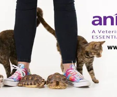 animalEO Essential Oils for Animals: Crow River Animal Hospital LTD