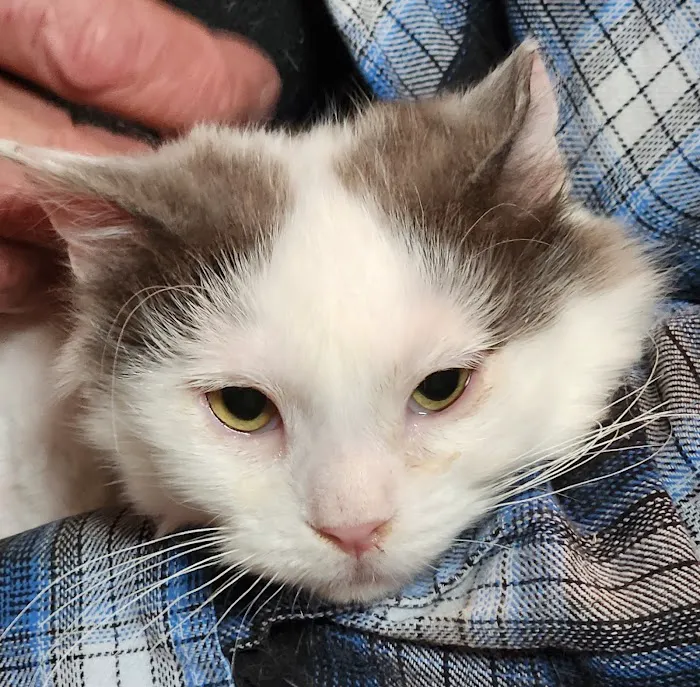 Kimball Veterinary Clinic Picture 7