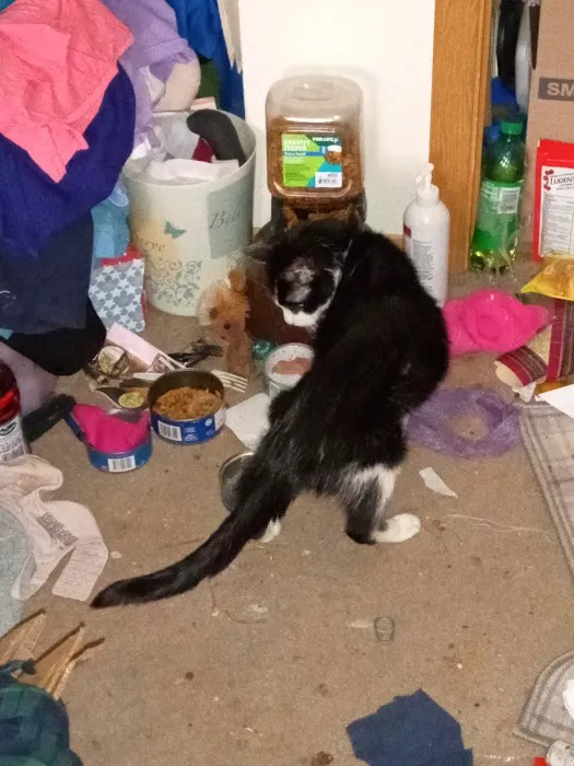 Litchfield Veterinary Clinic Picture 5