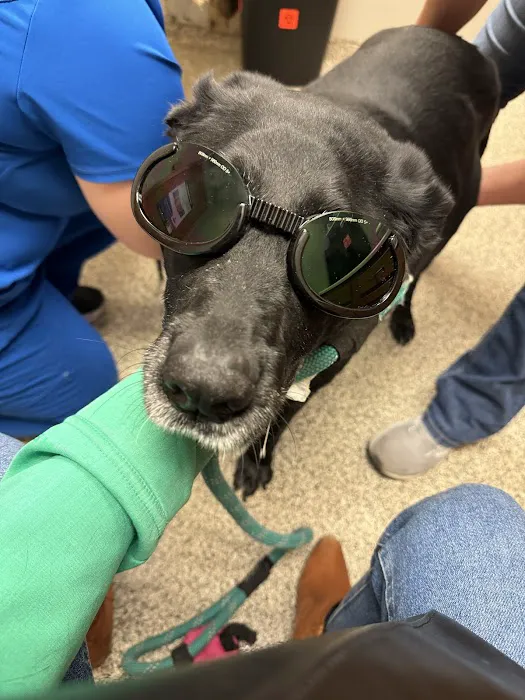 Litchfield Veterinary Clinic Picture 3