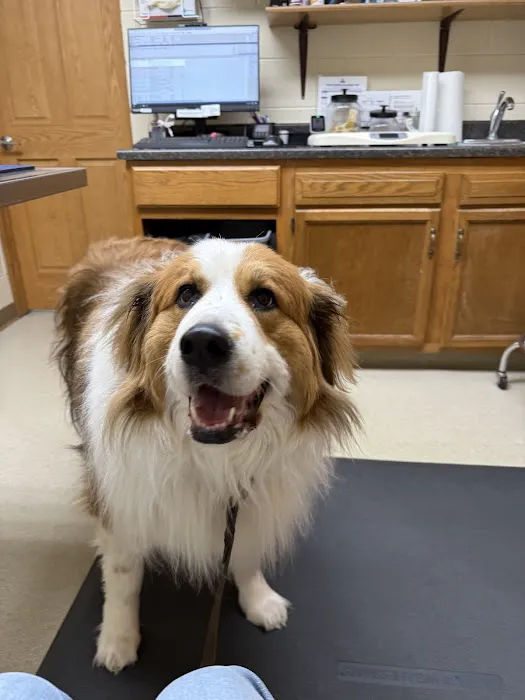Nicollet Veterinary Clinic Picture 8