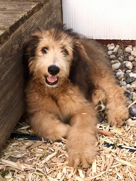 River Hills Pet Care Hospital Picture 8