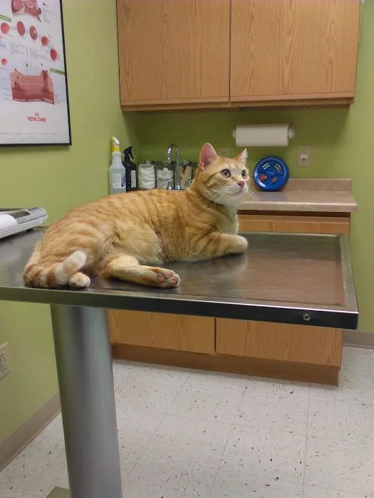 North Mankato Animal Hospital Picture 7