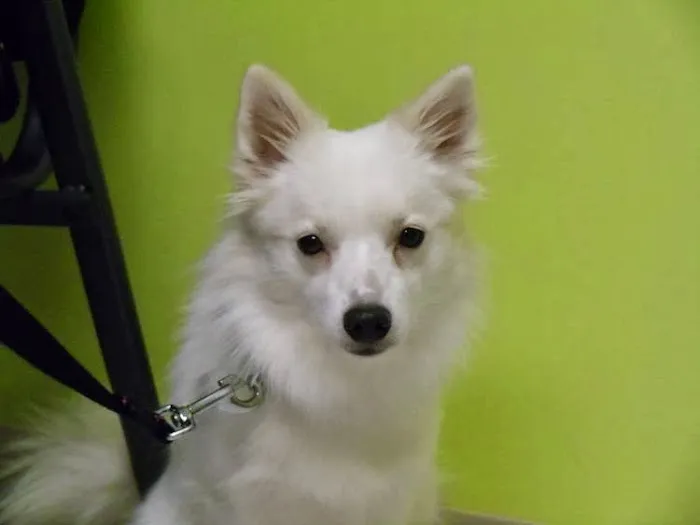 North Mankato Animal Hospital Picture 5