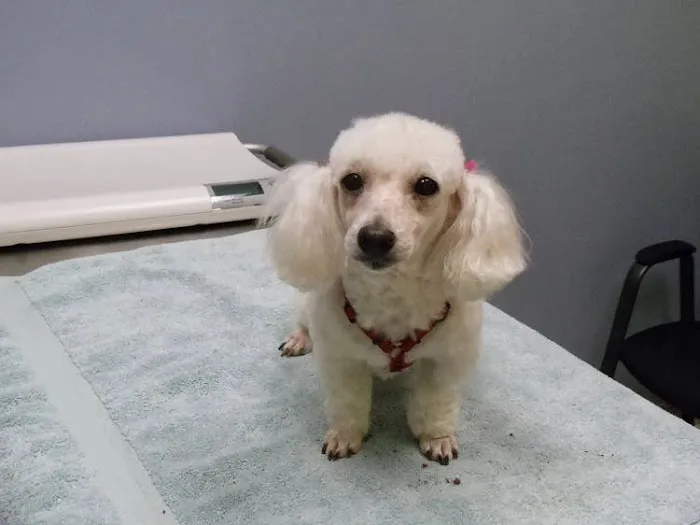 North Mankato Animal Hospital Picture 6