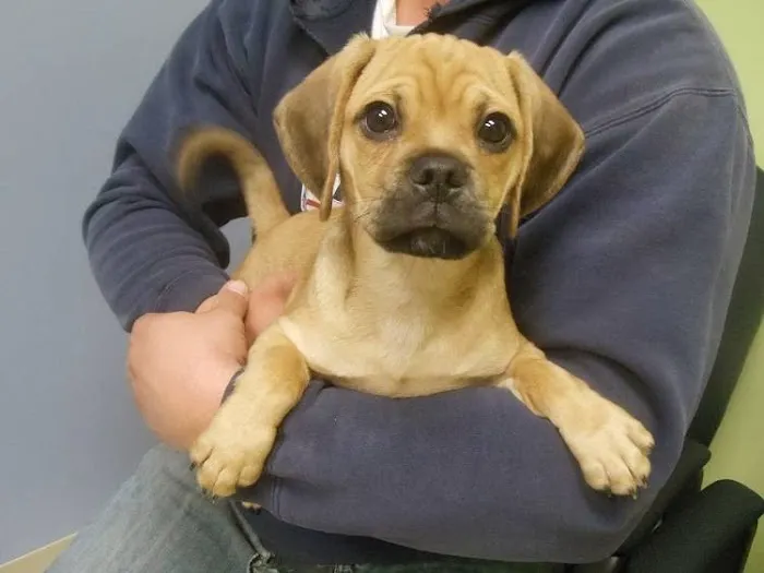 North Mankato Animal Hospital Picture 9