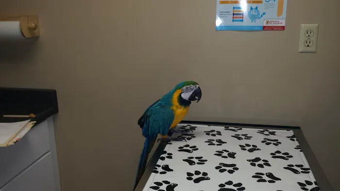 Minnesota Valley Pet Hospital Picture 5