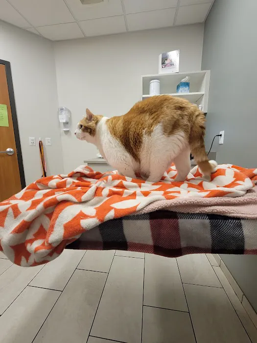 Minnesota Valley Pet Hospital Picture 7