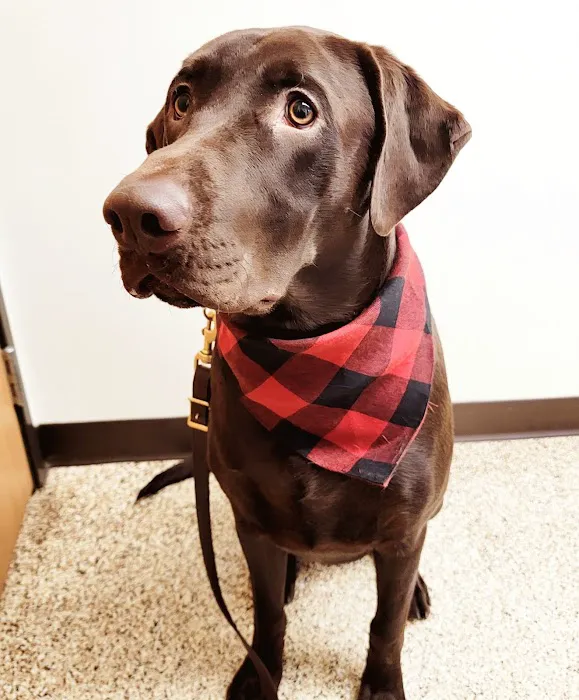 Clearwater Animal Hospital Picture 3