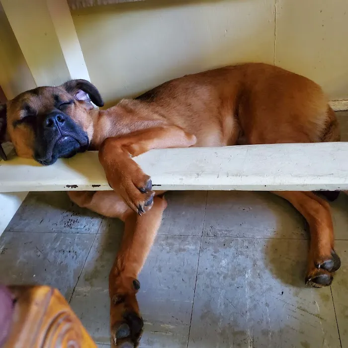 Carlton Veterinary Hospital Picture 3