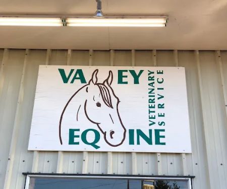 Valley Equine Veterinary Service Inc